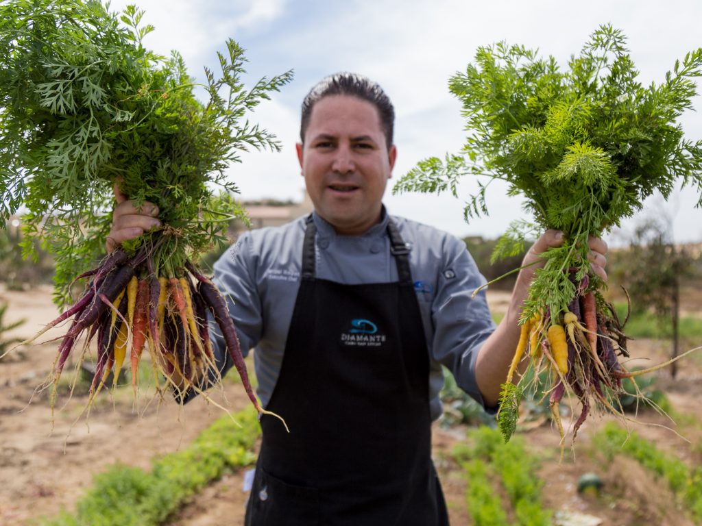 Chef Izzy Diamante Cabo San Lucas