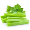 Celery sticks. on white background
