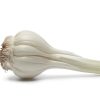 Fresh French garlic on white background