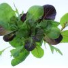 Produce - Vegetables - Lettuce Organic - Mixed Greens